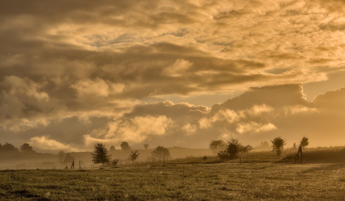 Morning Rituals to Start Your Day Calmly